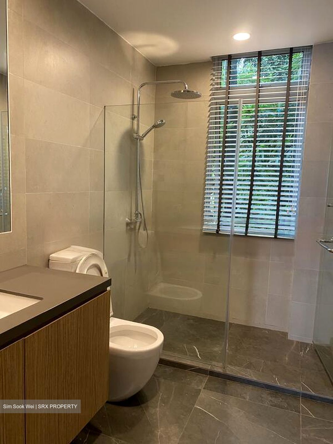Nassimville (D10), Apartment #463613051